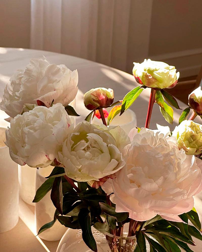 Blomster i lyse farver