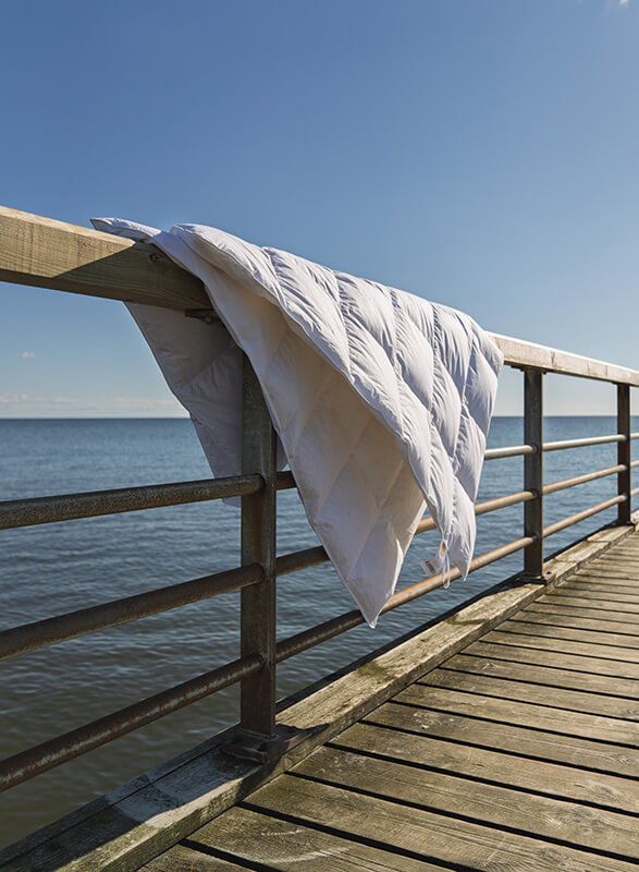 Quilts of Denmark