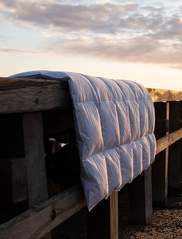 Quilts of Denmark